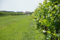 DSC02004 (1024x681).jpg